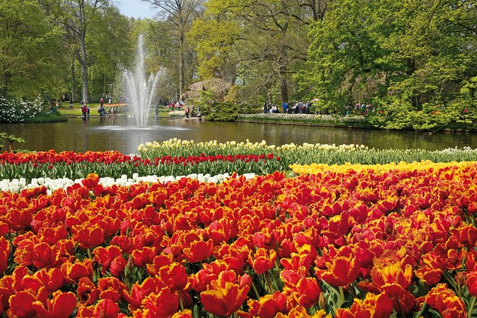 From Amsterdam: Keukenhof Gardens Ticket and Transfer - Is $41.51 a fair price?