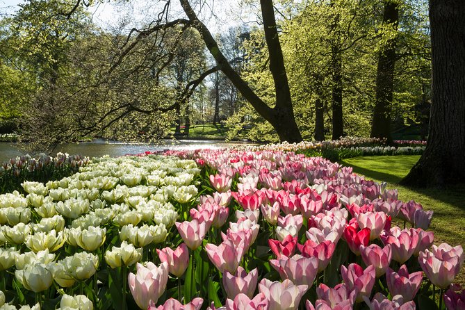 From Amsterdam: Keukenhof Gardens Ticket and Transfer - Who should book this Keukenhof trip?