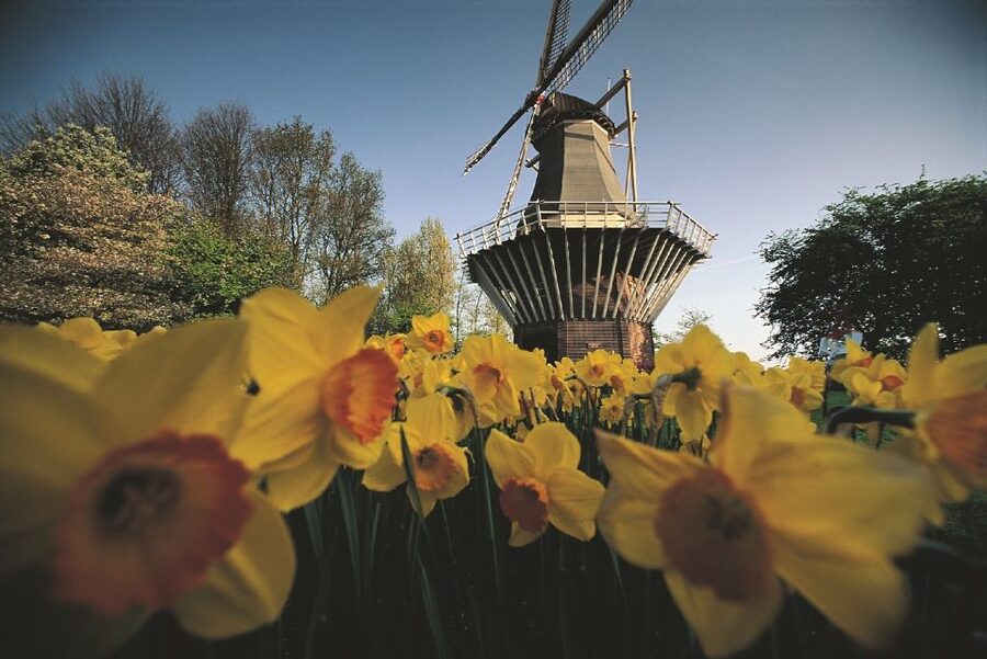 From Amsterdam: Keukenhof Gardens & Tulip Experience Tour - How much walking and independence should you expect?