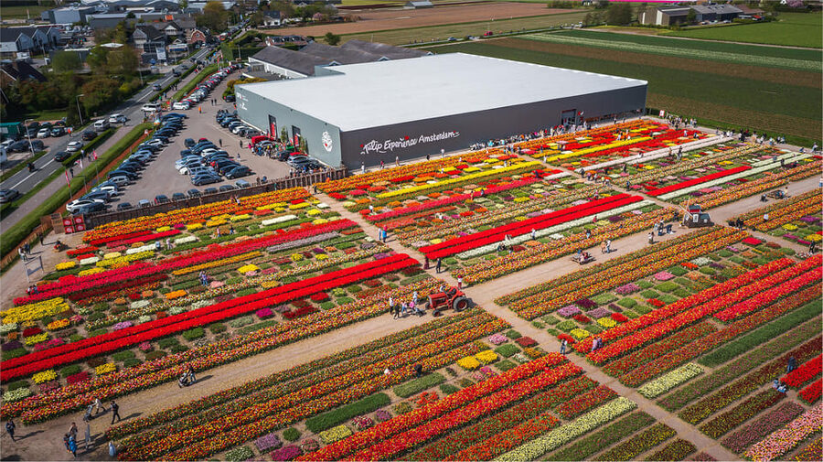 From Amsterdam: Keukenhof Gardens & Tulip Experience Tour - Is $94 a fair price?