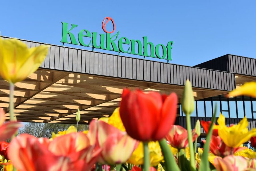 From Amsterdam: Keukenhof Gardens & Tulip Experience Tour - Who should book this tour?