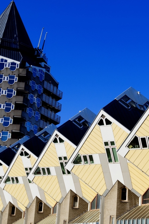 From Amsterdam: Rotterdam and The Hague Tour in Spanish - Key points at a glance