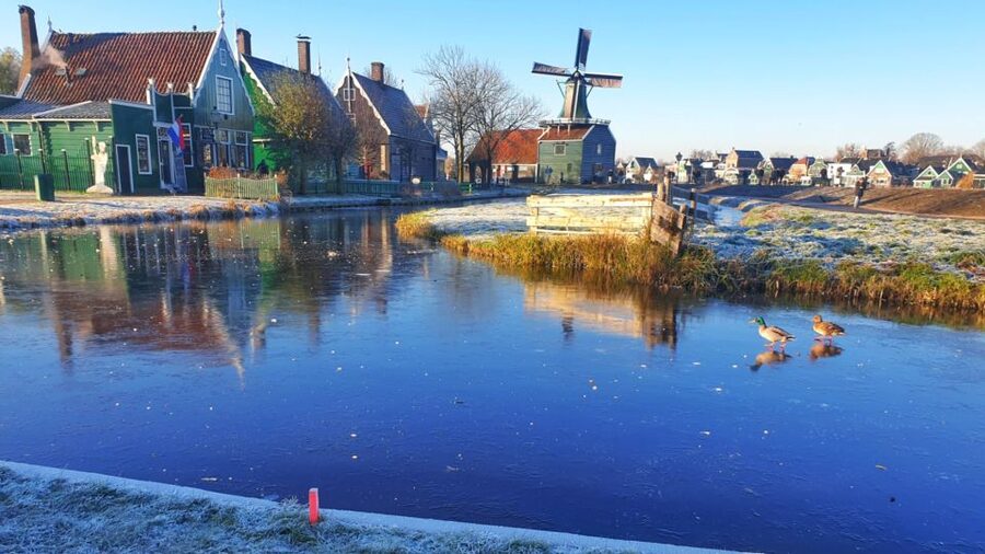 From Amsterdam: Small Group Zaanse Schans and Volendam Tour - The five-hour schedule and what it leaves out