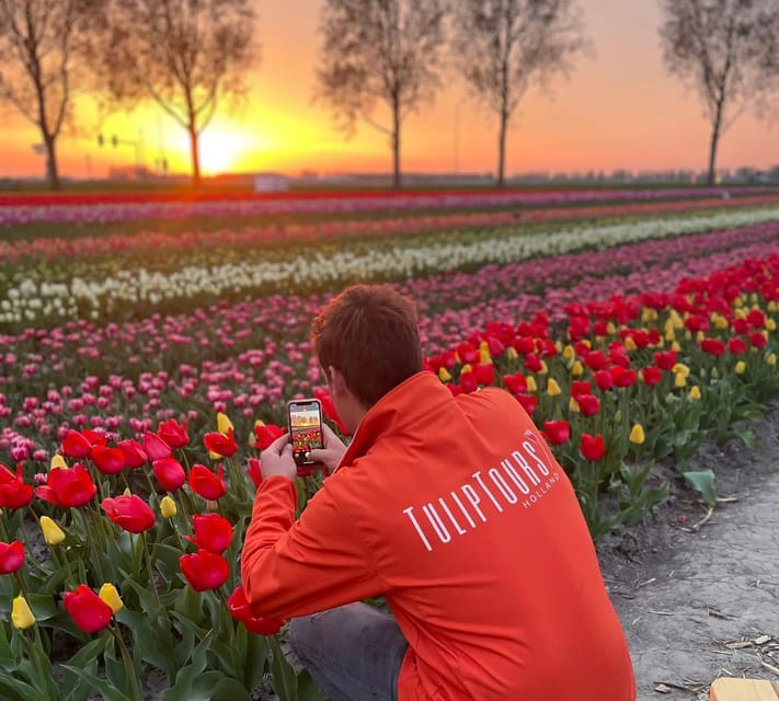 From Amsterdam: The Early Flower Tour, full day with Lunch - Key points to know before booking