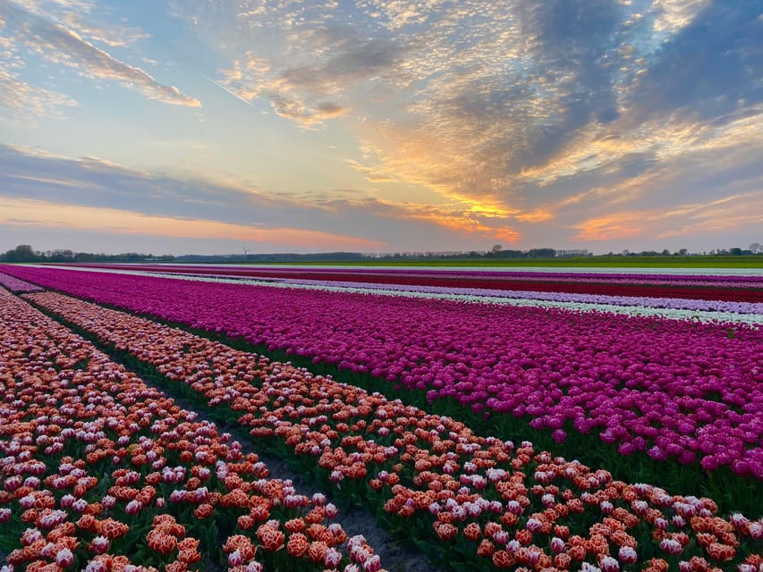 From Amsterdam: The Early Flower Tour, full day with Lunch - The 17th-century windmill and Dutch water control