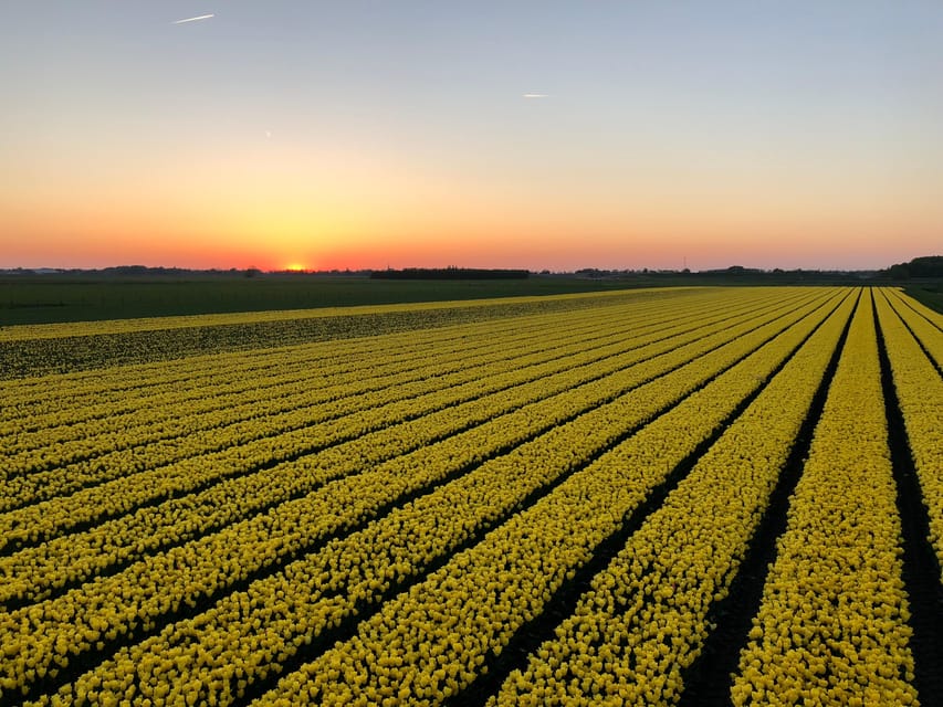 From Amsterdam: The Early Flower Tour, full day with Lunch - The best way to judge the flower experience