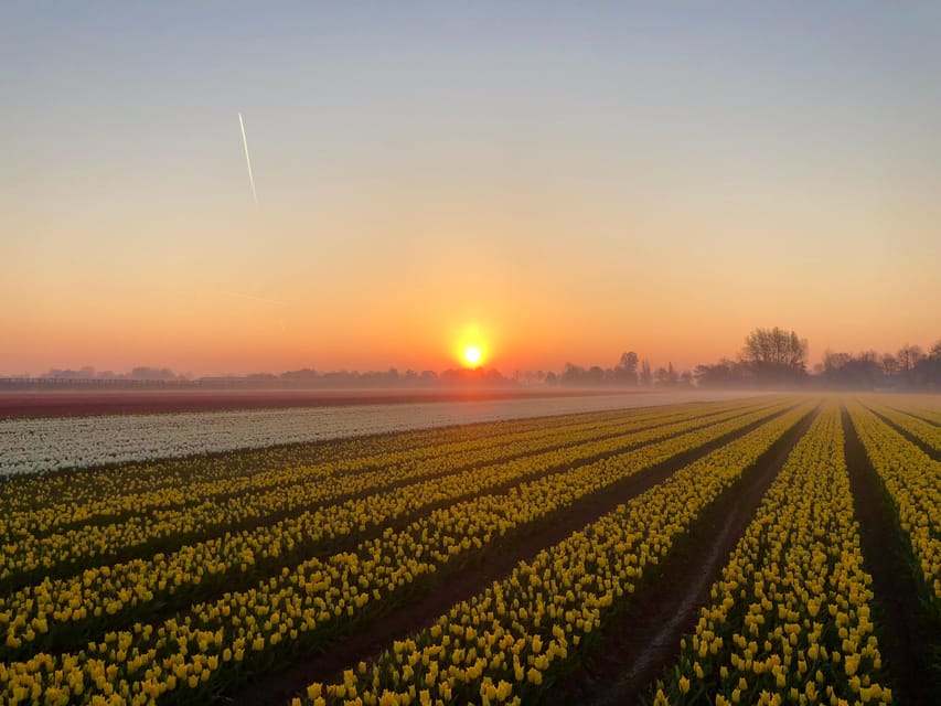 From Amsterdam: The Early Flower Tour, full day with Lunch - Who should book this six-hour outing?