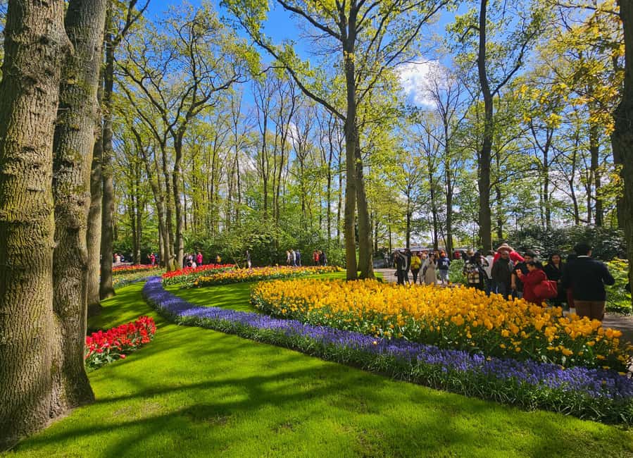 From Amsterdam: Tulip Tour Keukenhof & City Tour Delft - Getting the most from the flower gardens