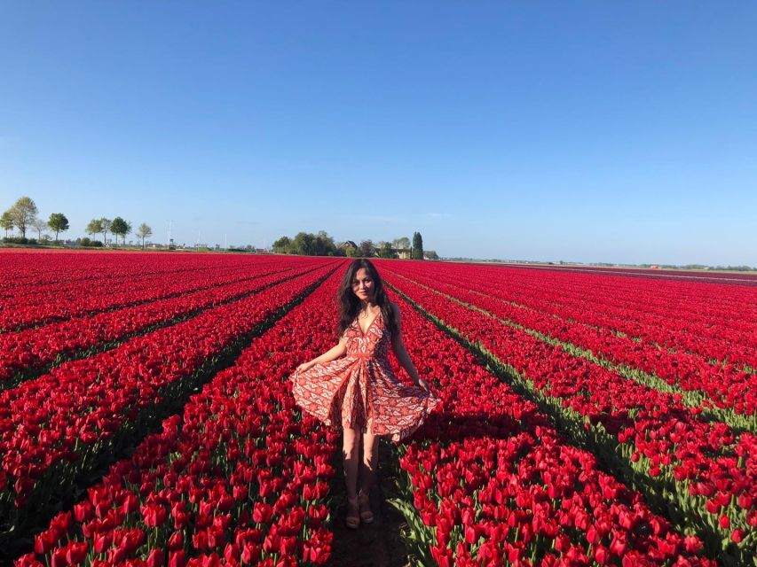 From Amsterdam: Tulip Tour Keukenhof & City Tour Delft - Delft Blue pottery, with an important name distinction