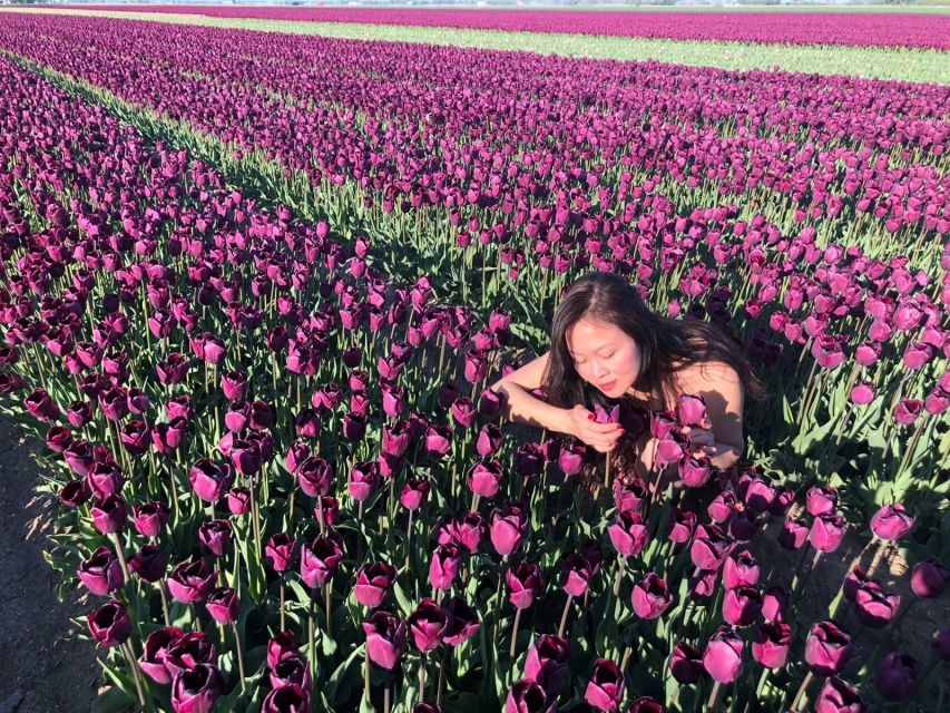 From Amsterdam: Tulip Tour Keukenhof & City Tour Delft - The return to Amsterdam