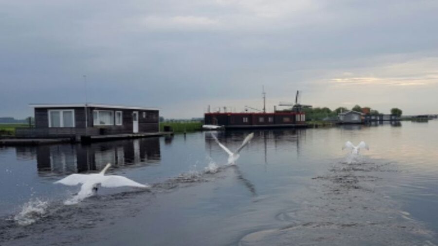 From Katwijk: Kaag Lakes Cruise - Why the shallow Kaag Lakes are worth seeing