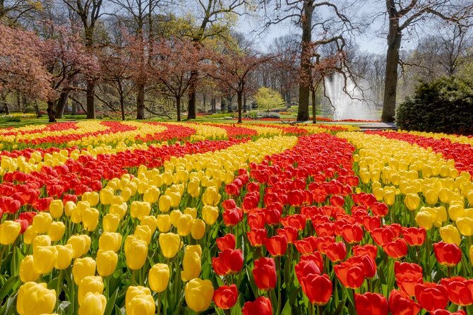 Full-Day Skip the Line Keukenhof and Canal Cruise from Amsterdam - Seven hours among Keukenhof’s flowers