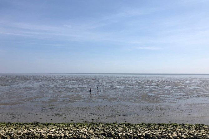 Full day tour to Texel - Friesian Islands - from Amsterdam - Five hours among Texel villages and nature