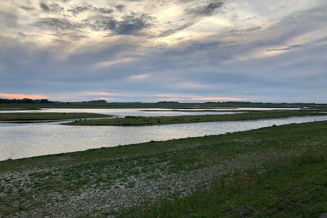 Full day tour to Texel - Friesian Islands - from Amsterdam - The optional seal safari for €35