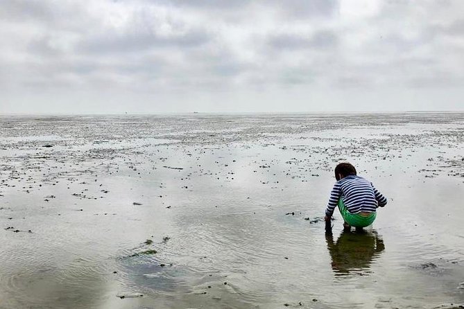 Full day tour to Texel - Friesian Islands - from Amsterdam - Weather, clothing, and the shape of the day