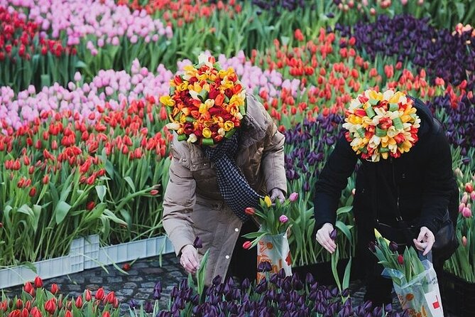 Full-Day Trip From Amsterdam to Keukenhof, Zaanse Schans + Cruise - What the $41 price really buys
