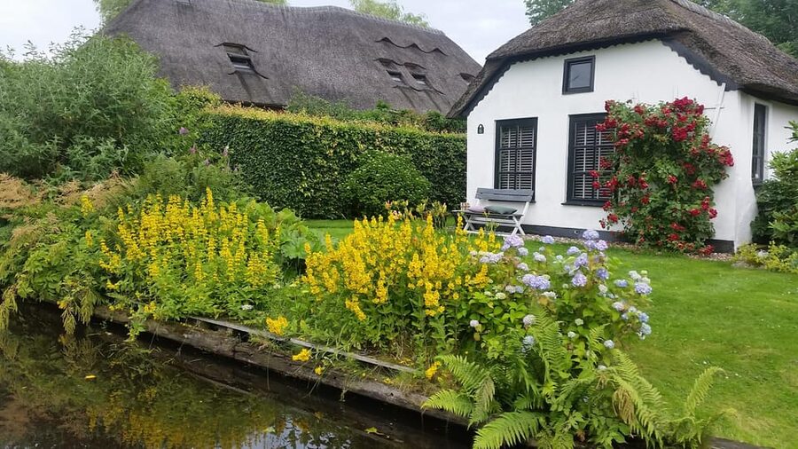 Giethoorn private tour with open boat and local captain - A small open boat for clear views
