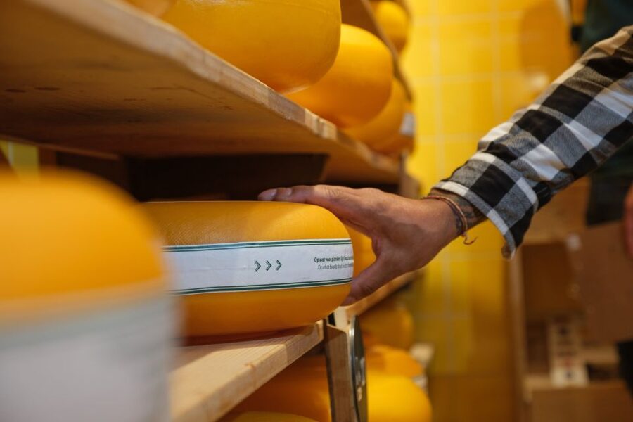 Gouda: Gouda Cheese Experience Entry Ticket - Becoming a Cheese Master