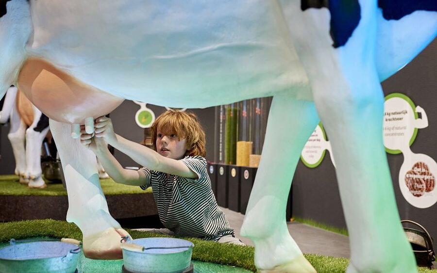 Gouda: Gouda Cheese Experience Entry Ticket - How the self-guided format affects the visit