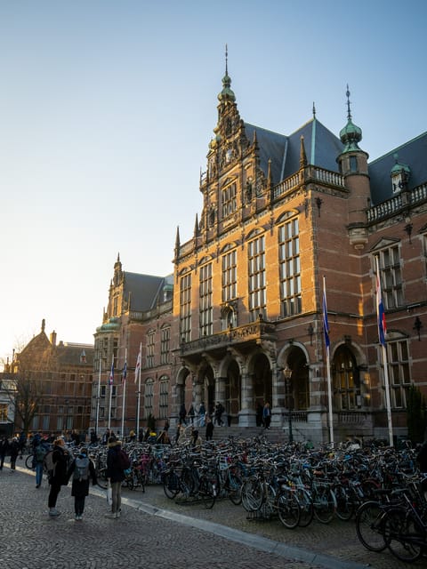 Groningen: Walking Tour with Local Guide - Getting the best experience from your guide