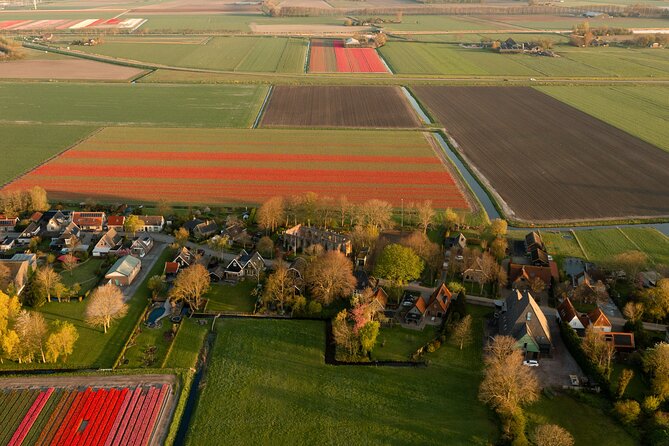 Guided Bike Tour along the Dutch Tulip Fields in Noord Holland - What you see beyond the tulips