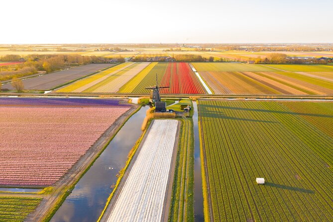 Guided Bike Tour along the Dutch Tulip Fields in Noord Holland - Cycling through fields that keep changing