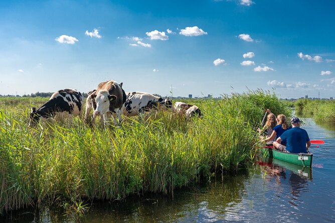 Guided Canoe Adventure with Picnic Lunch in Waterland from Amsterdam - Five things to know before paddling into Waterland