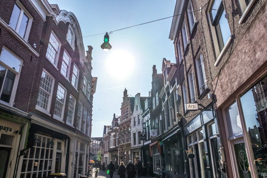 Haarlem: City Highlights Walking Tour - Starting beneath Sint Bavo’s tower