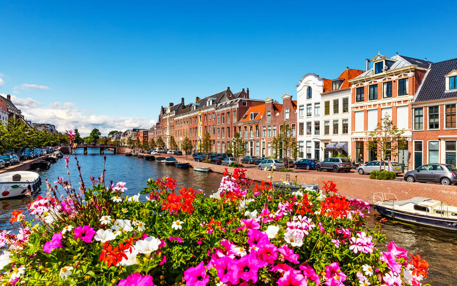 Haarlem Highlights Bike Tour - Bike quality, group size, and physical effort