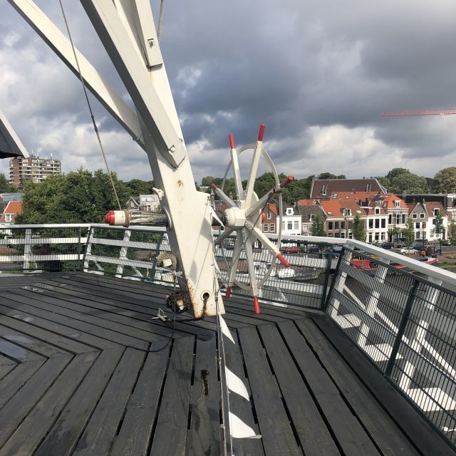 Haarlem: Windmill 'De Adriaan' Guided Tour - Walking the 12-meter gallery above Haarlem