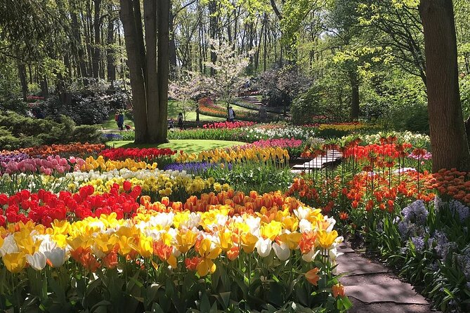 Half Day Keukenhof Tulip Paradise Trip from Amsterdam - Why this half-day Keukenhof trip works