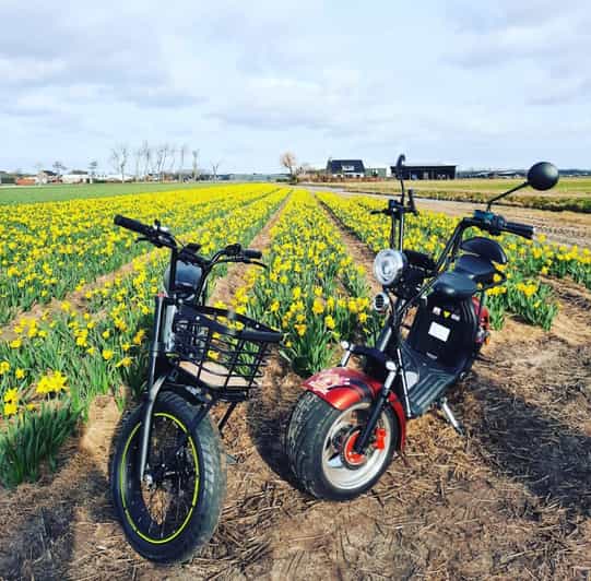 Hillegom: E-Scooter or E-Bike Rental in the Bulb Region - Key points to know before you ride