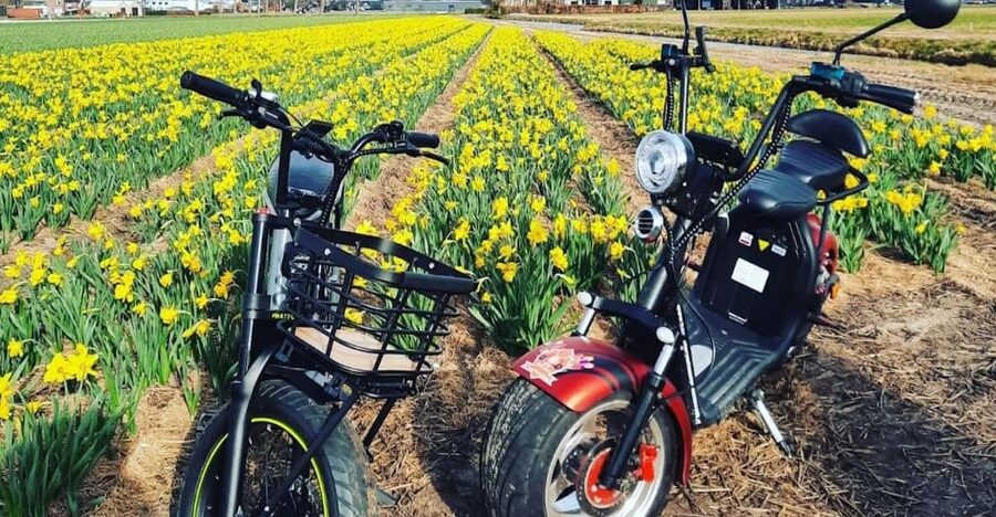 Hillegom: E-Scooter or E-Bike Rental in the Bulb Region - The first ride through the flower fields