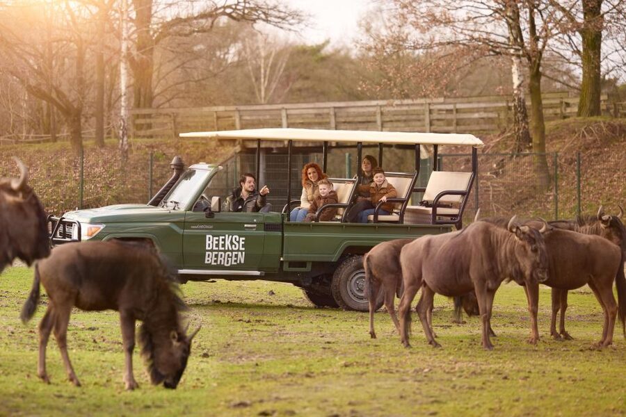 Hilvarenbeek: Safaripark Beekse Bergen Entry Ticket - Accessibility, rules, and practical limits