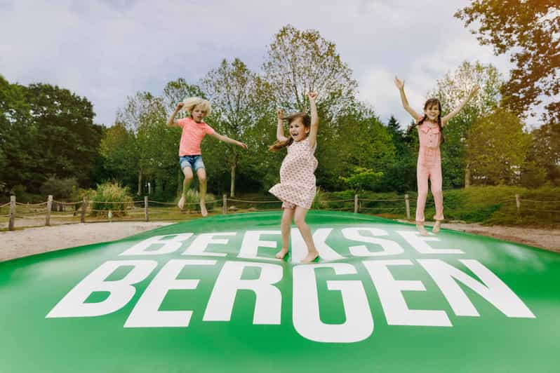 Hilvarenbeek: Speelland Beekse Bergen Entrance Ticket - How to plan the day around different ages