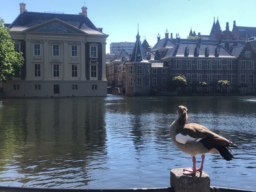 Holland Four City Charm Tour - Haarlem: a grand final stop at Market Square