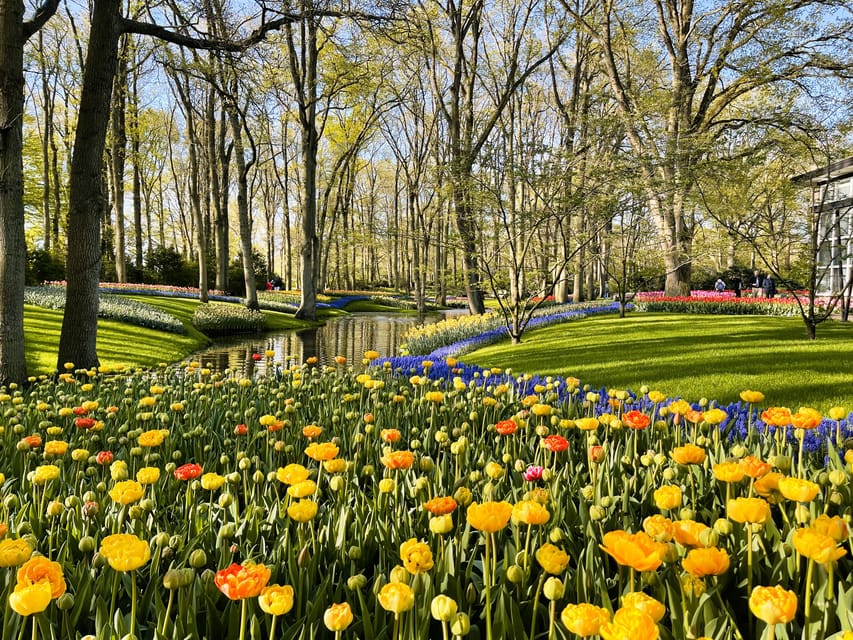 Holland: Tulips & Windmills – Private Tour by Car or Van - Key points to know before booking