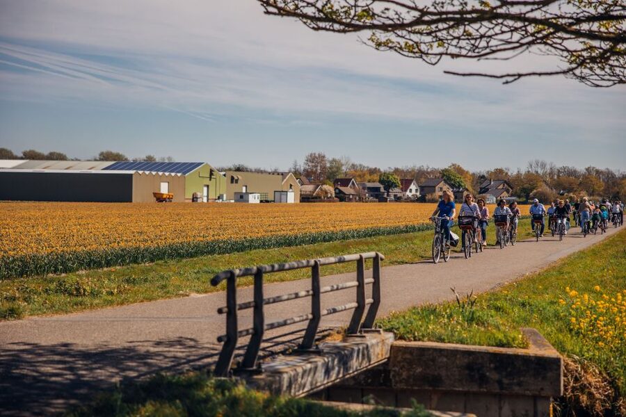 Keukenhof: Flower Fields Small-Group Cultural Bike Tour - What makes this bike tour special