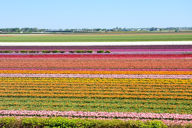 Keukenhof, Flower Fields, Volendam and Zaanse Schans Small-Group Tour - Practical advice for making the day work