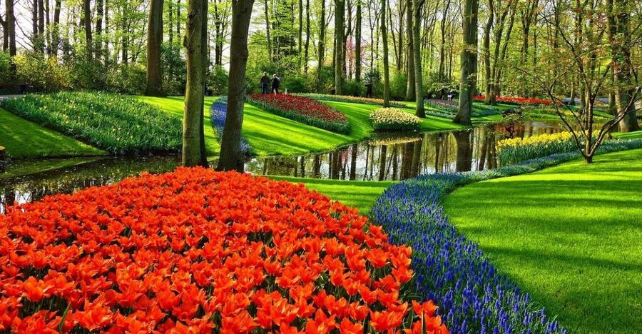 Keukenhof Gardens and Tulip Experience Tour from Amsterdam - The five-minute transfer to Keukenhof