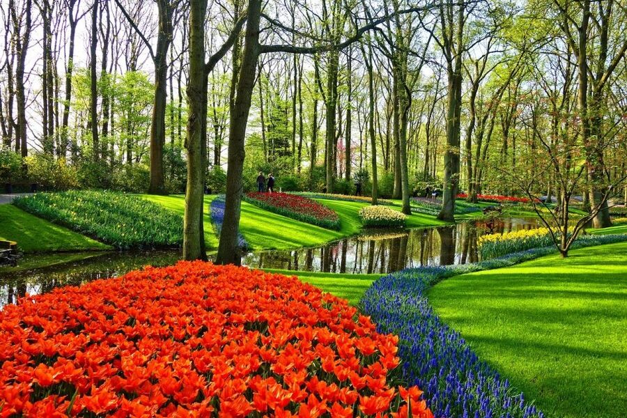 Keukenhof Gardens and Tulip Experience Tour from Amsterdam - Tulip mania, art, and family activities