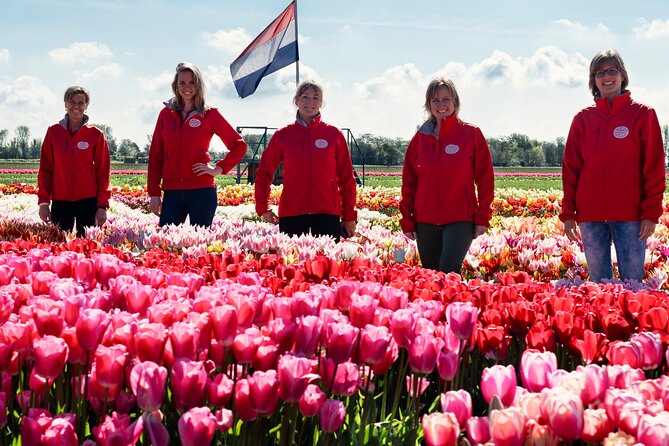Keukenhof Gardens and Tulips Private Tour from Amsterdam - What you are really paying for at $383.44