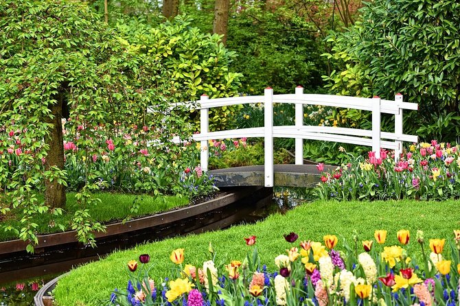 Keukenhof Gardens and Tulips Private Tour from Amsterdam - The Tulip Experience Amsterdam in 90 minutes