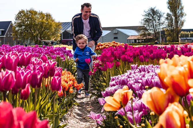 Keukenhof Gardens & Tulip Experience Tour from Amsterdam - Leaving Amsterdam at 10:30 a.m.