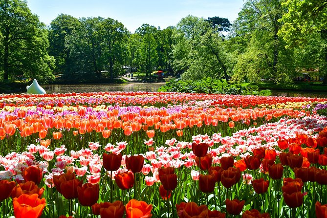 Keukenhof Gardens & Tulip Experience Tour from Amsterdam - The optional Amsterdam canal cruise