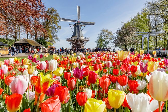 Keukenhof Gardens & Tulip Experience Tour from Amsterdam - Tulip Experience Amsterdam: one hour with the growers