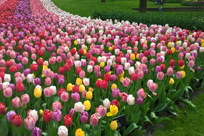 Keukenhof's Tulips and Windmills Small-Group Tour from Amsterdam - Zaanse Schans: a compact introduction to Dutch traditions