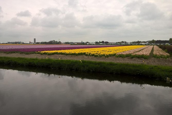 Keukenhof's Tulips and Windmills Small-Group Tour from Amsterdam - Gouda tasting at Catharina Hoeve Cheese Farm