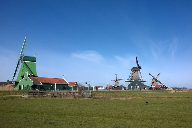 Keukenhof's Tulips and Windmills Small-Group Tour from Amsterdam - Inside Molen De Kat, a working industrial windmill