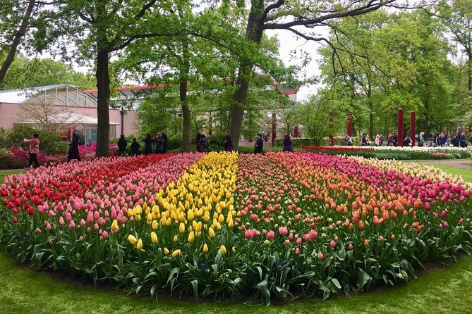 Keukenhof's Tulips and Windmills Small-Group Tour from Amsterdam - What to bring and how to prepare